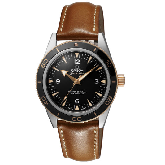OMEGA 233.22.41.21.01.001