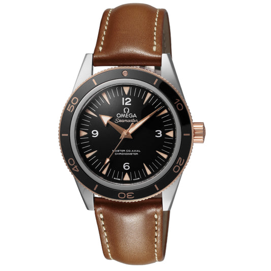 OMEGA 233.22.41.21.01.002